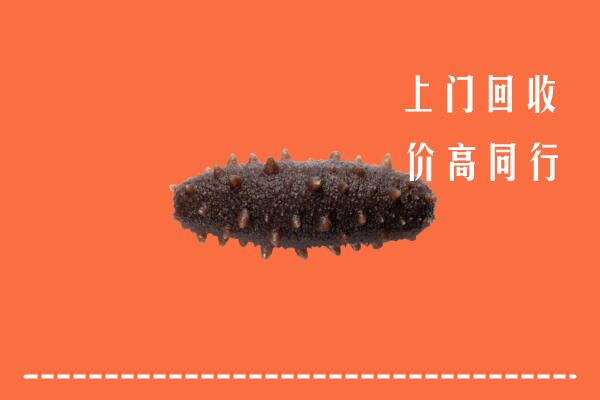 保康县回收海参