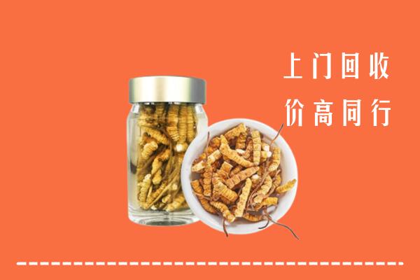 保康县回收冬虫夏草